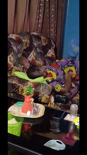 Scaring Mom with a Fake Rubber Snake Surprise