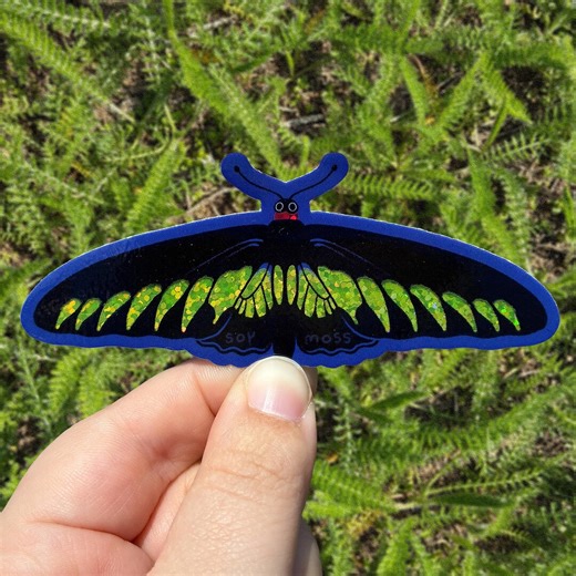 Rajah Brooke's Birdwing Butterfly Glitter Sticker - Etsy