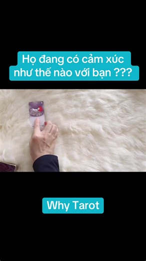 Họ đang có cảm xúc như thế nào với bạn ???#whytarot #tarotreading #tarotreader #tarot #tarothealing