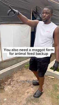 Is important you start making maggots to augment the total use of conventional feed and fertiliser