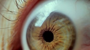 Close-up On Eye Horror Creepy Looking Eye 4k Stock Footage SBV-312511216 - Storyblocks