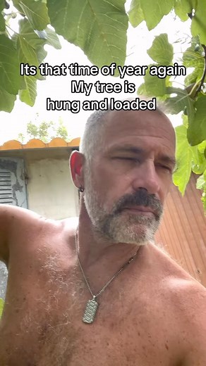 I love fig harvesting time!! #Figs #daddybear #gayhumour #harvest #funnyfruit | Harvey Colbran