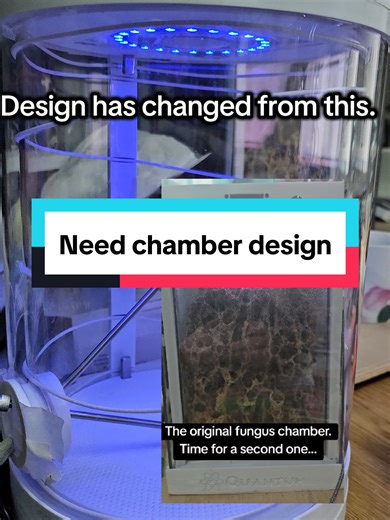 Leafcutter Ant Formicarium Design Changes