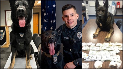 Seekonk Police K-9 Mattis has officially retired