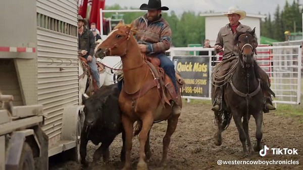 Western Cowboy Chronicles on TikTok