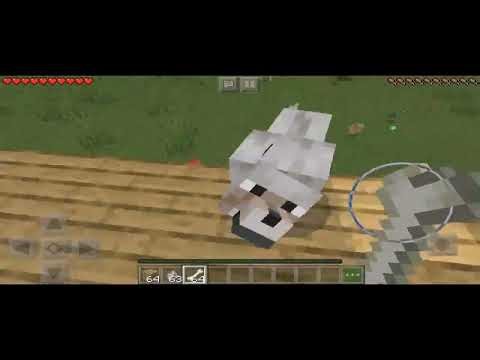 Request THE EPICNESS OF Minecraft angry wolves (2)