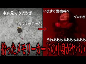 【衝撃】落ちてる携帯を拾っただけなのに...「拾ったメモリーカードの中身がヤバい」ネットを震撼させた恐怖体験がツッコミどころ満載だった#19【ツッコミ】【なろ屋】【2ch最恐スレ】