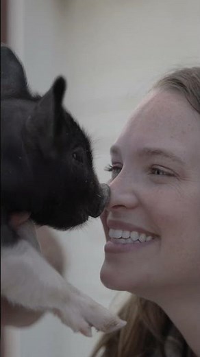 The Painterland Sisters’ Story - Get Different short | Whole Foods Market #femalefarmers