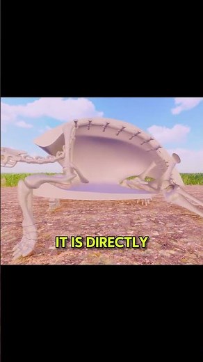 Why Turtles Can NEVER Remove Their Shell 🐢🚫😱