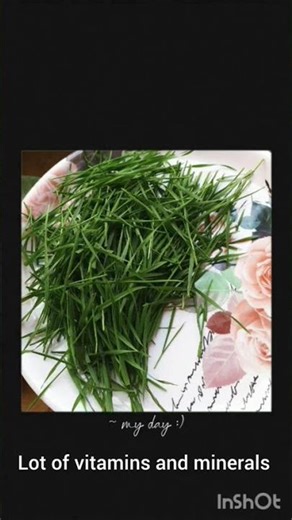 Wheatgrass Juice #microgreens #recipe #wheatgrassjuice #wheatgrassbenefits #healthydrinks