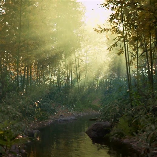 26K views · 1.3K reactions | Your strategy changes in every season and weather. Use the rain to cover the sound of your footsteps, hide in dense foliage during summer, distract enemies in winter by dropping icicles, and take advantage of the guards' laziness on hot days. #AssassinsCreedShadows | Assassin's Creed | Facebook