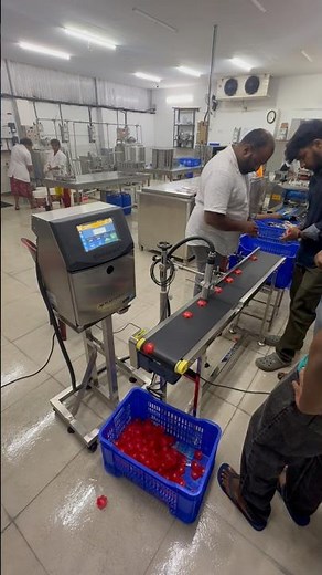 Ice Cream Packaging Coding Machine | Videojet 1280 Printing on Lids, Pouches & Bottle