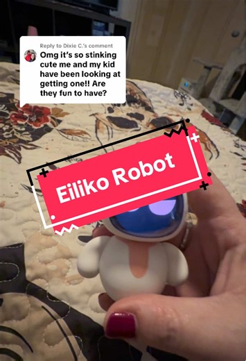 Exploring the Eiliko Robot