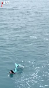 3.8K views | Caught on deck!  Passengers get an unbelievable surprise as a real-life mermaid glides gracefully through the waves 隆‍♀️✨ Phones out, jaws dropped! #MermaidSightings #OceanMagic #CruiseLife #AI #UnbelievableMoments #SeaMystery | Ajay R | Facebook