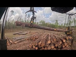 DSL - Highway logging