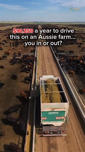 FIFO | $90,250 a year to drive this on an Aussie farm… you in or out? 🐄🚜🇦🇺 You can find these cattle farm jobs easily on Seek and Indeed — just... | Instagram