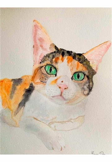 Pintando a minha gata em aquarela Painting my cat in watercolor #paint #painting #watercolorpainting #watercolor #petlover #cat #catpainting #catpaint #pintura #pintando #pinturadeanimales #gato #gata