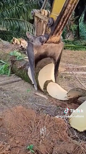 Exploring US Agriculture: Tractors and Farming Techniques