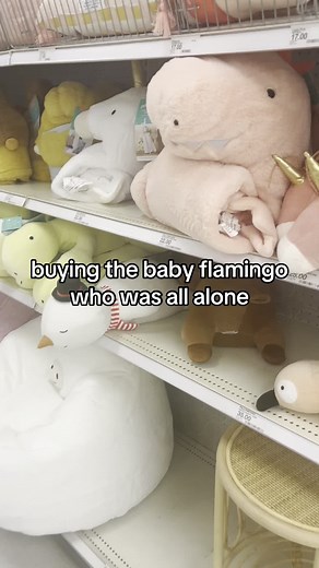 Buying the Solo Baby Flamingo at Target