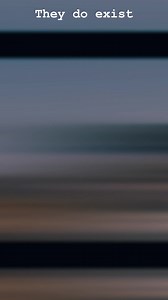 1.4M views · 12K reactions | They do exist #monstersnakes #giantsnakes #creepy #cryptids #snakes #nightmarefuel #phobia | The Dark Truth | Facebook