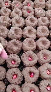 1.5M views · 7.6K reactions | How to make seed ball a new technique...