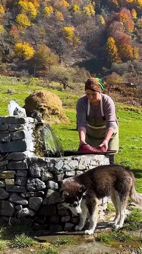 Exploring Village Lifestyle in the USA