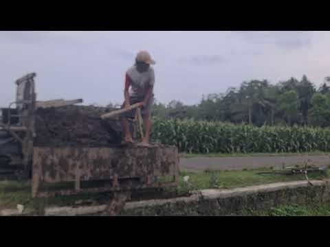 The Process of Unloading Soil from a Vehicle with a Shovel — Agriculture Farming