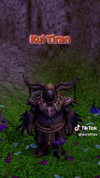 Moonkin Default Forms #worldofwarcraft #druid #boomkin | circle of stars druid