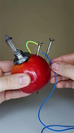 Apple Electricity Experiment | Amazing DIY Science TrickCan an Apple Light a Bulb?