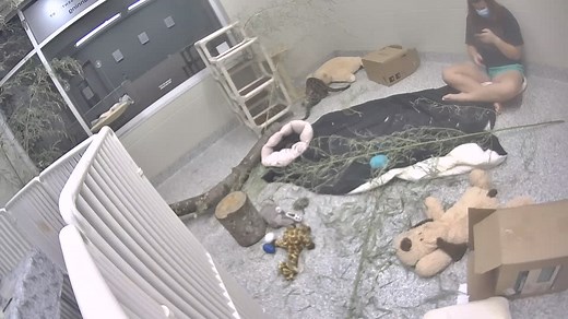 HCA Healthcare Veterinary Center