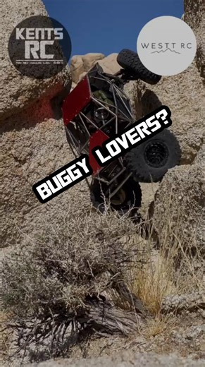 2.7K views · 46 reactions | Buggy lovers? Well! Let's watch this...
