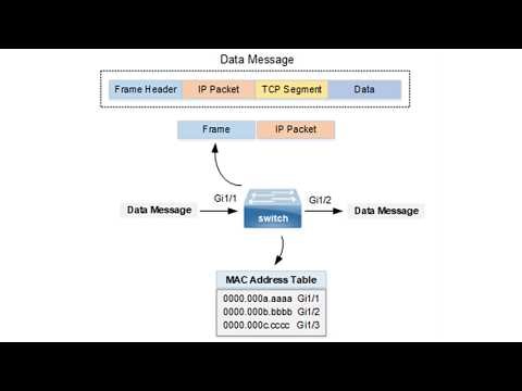 Cisco Switching Algorithm | MAC Table Forwarding Basics | CCNA Exam Prep