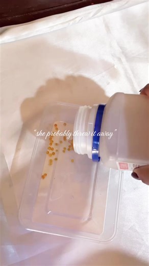 How to Preserve Flowers Using Silica Gel