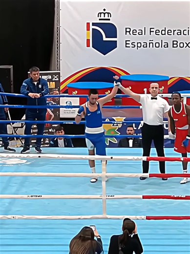 Masterclass in Boxing Techniques for Enthusiasts