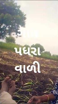 3 સપ્ટેમ્બર, 2025