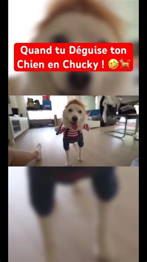 Le déguisement est INCROYABLE ! 🤣💪 #Shorts#Michou#Yuki#Trend#Même#Déguisement#Chucky#Chien#Croûton