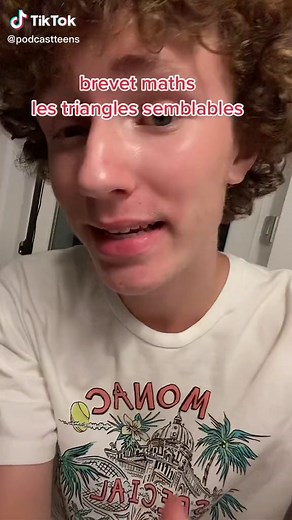 Comprendre les triangles semblables en maths