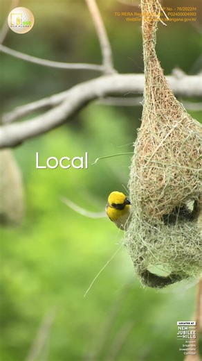 Plots with Scenic Returns | Aliens HUB | Hyderabad