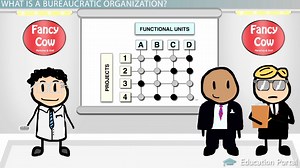 Bureaucratic Organizations: Examples & Characteristics - Video | Study.com