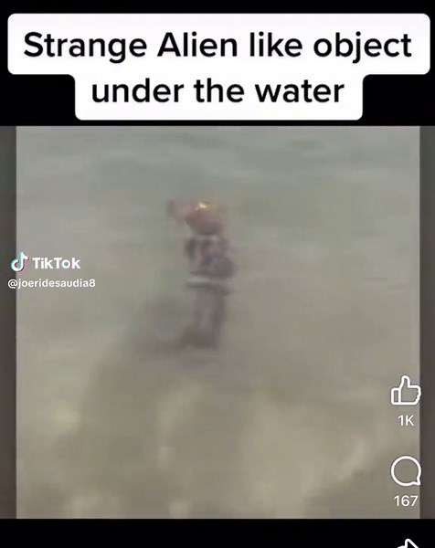 Alien at the beach #fyp #alien #caughtoncamera