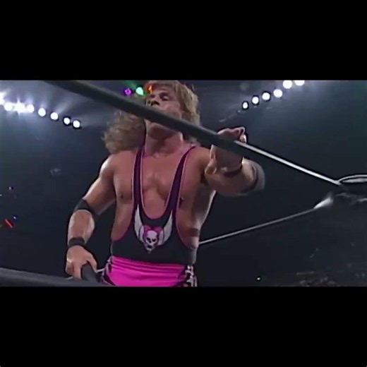 BRET HART SMASHED STING’S HEAD WITH A BASEBALL BAT! 😱💥 (WCW 1998)