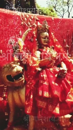 #जय_पाथीभरा_माता_सम्पूर्ण_भक्तजनहरूको_रक्षा_गर्नुहोस🙏 #pathivaramatadarsan #shreeganeshaynamah🇳🇵