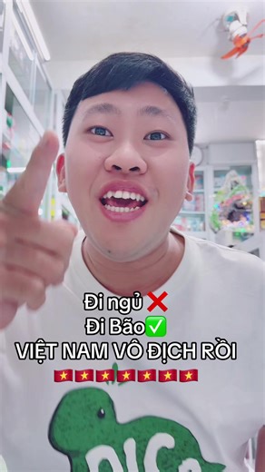 Việt Nam Vô Địch Rồi Anh Em Ơi | vietnam