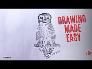 Easy Owl Drawing for Beginners