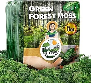 [Upgraded] DUSPRO Green Moss for Crafts, Real Forest Moss Potted Plants, Decorative Mosses for Table Centerpieces Wedding Christmas Fairy Party Decor, Indoor Planters, DIY Project (5 oz)