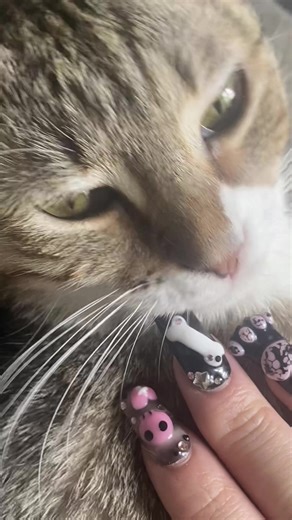 Cat Paw-Inspired Nail Designs to Try