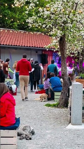 Czech Republic: Summer Party in a Charming Village 🎉☀️