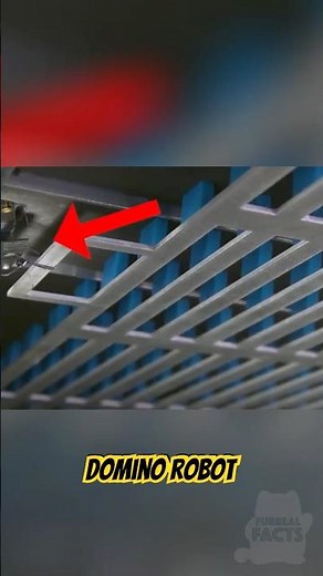 This Is How Massive Domino Setups Are Made