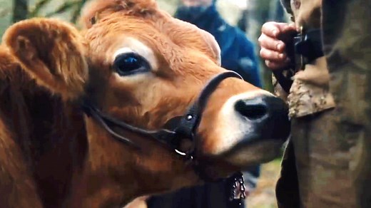 First Cow: Trailer 1