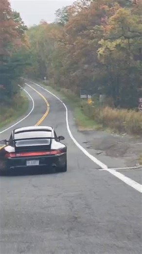 Window Fashions on Reels